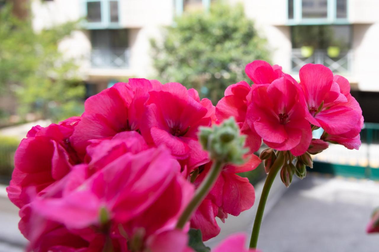 Boutique Apartment La Lavande Free Parking 10 Min Walk 니스 외부 사진
